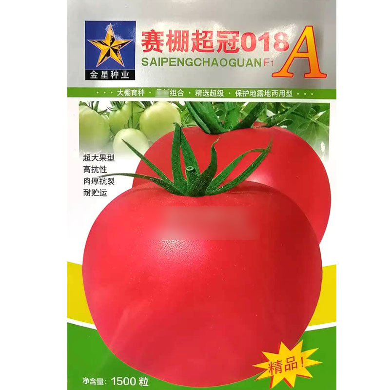 赛棚超冠018A番茄种子保护地露地两用型西红柿种子