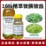 麒丁10%精草铵膦铵盐除草剂牛筋草小飞蓬除草专用