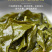铁观音清香型新春茶叶罐装安溪乌龙茶250g