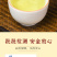 安溪铁观音礼盒装浓香型新茶春茶茶叶罐装500g