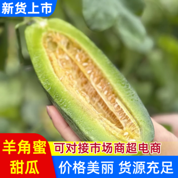 羊角蜜甜瓜山东甜瓜，博洋九号现摘现发供应电商市场