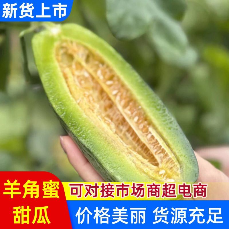 羊角蜜甜瓜山东甜瓜，博洋九号现摘现发供应电商市场