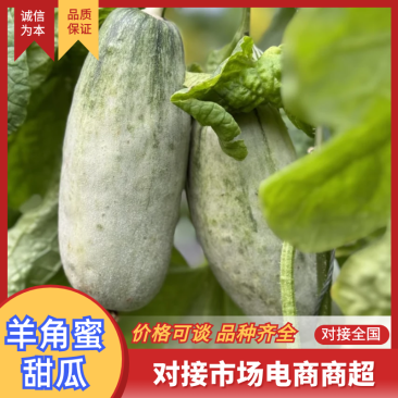 羊角蜜羊角蜜甜瓜聊城甜瓜大量供应商超品质全国发货