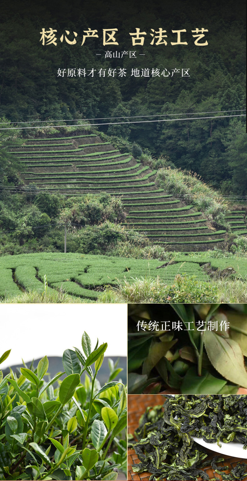 十月香浓安溪铁观音清香型罐装礼盒装醇厚甘爽乌龙茶500克