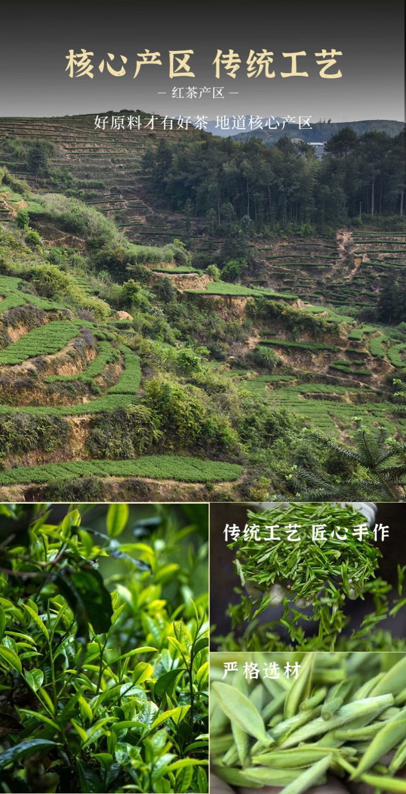 新茶茶叶金骏眉红茶茶叶散装浓香型金俊眉罐装礼盒装500