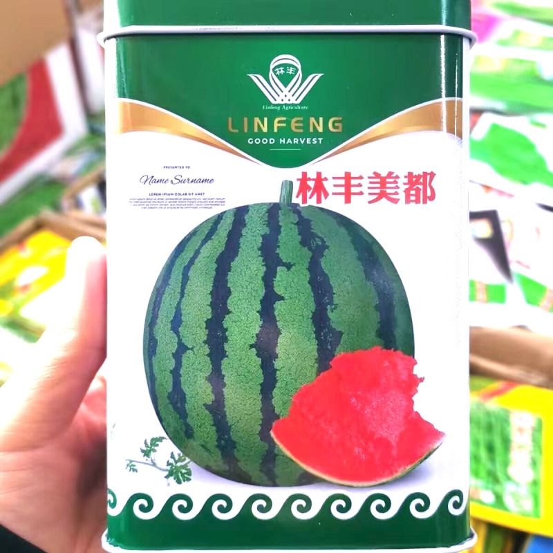 林丰美都西瓜种子50克罐装口感脆甜外观美韧性强