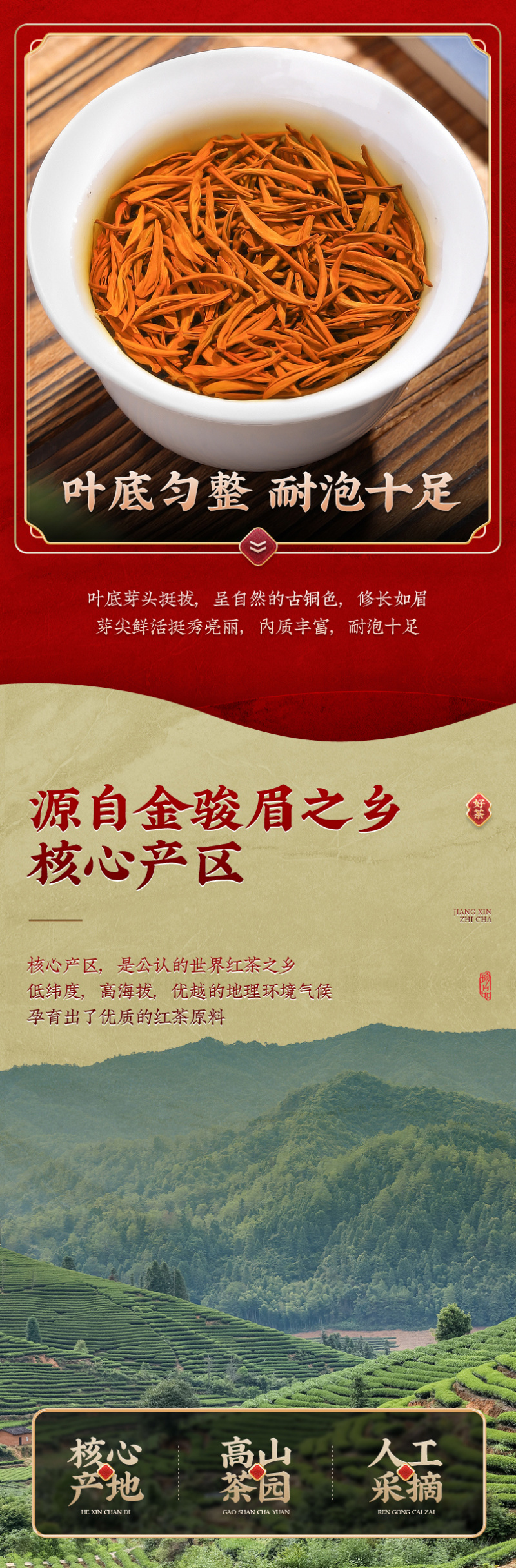 武夷山红茶金俊眉正宗黄芽金骏眉武夷红茶罐装茶叶500g