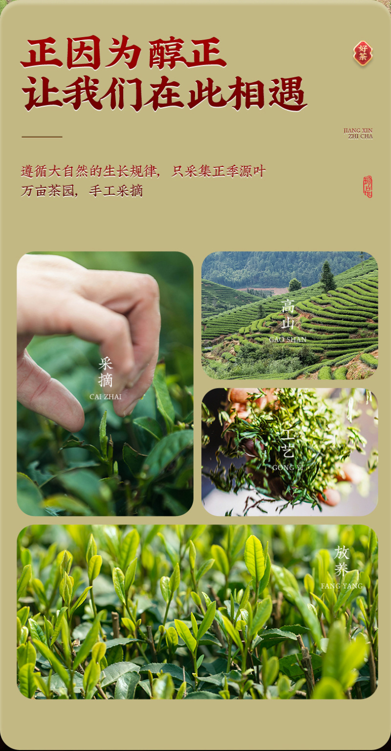 武夷山红茶金俊眉正宗黄芽金骏眉武夷红茶罐装茶叶500g