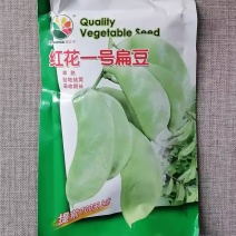 红花一号扁豆种子250克原装早熟贴地结荚采收期长