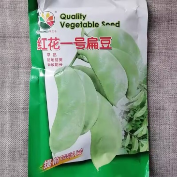 红花一号扁豆种子250克原装早熟贴地结荚采收期长