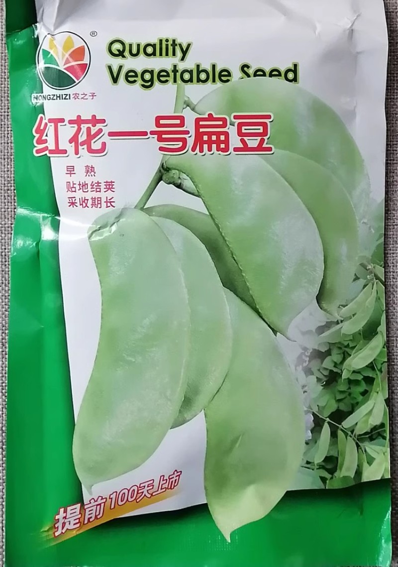 红花一号扁豆种子250克原装早熟贴地结荚采收期长