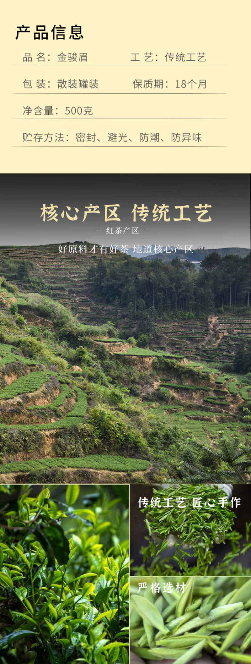 武夷山桐木关黄芽蜜香型金骏眉茶叶厂家批发金俊眉500g
