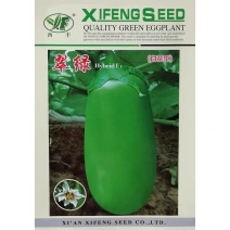 白花翠绿茄子种子青茄种子果肉白色肉质细嫩籽少果大