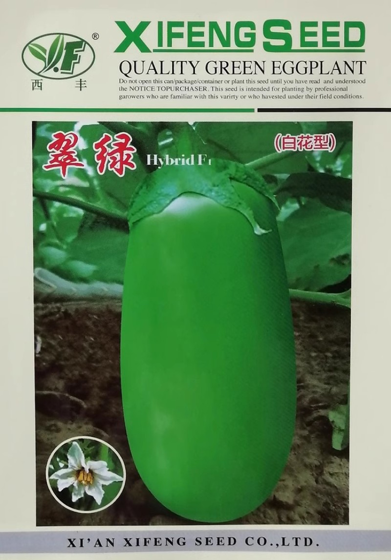 白花翠绿茄子种子青茄种子果肉白色肉质细嫩籽少果大