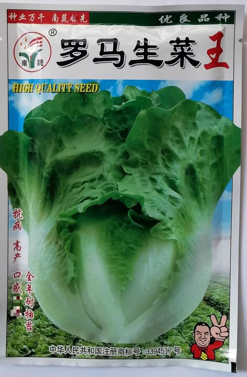 罗马生菜王种子50克原装抗病耐寒全年耐抽苔爽脆味香
