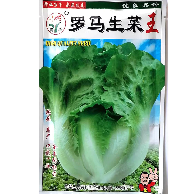 罗马生菜王种子50克原装抗病耐寒全年耐抽苔爽脆味香