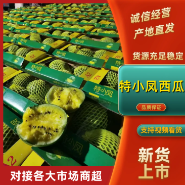 特小凤西瓜江苏产区直发保质保量供货对接全国电商商超