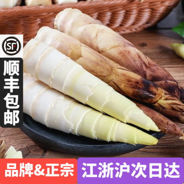 浙江临安春笋天目山雷笋鲜嫩竹笋新鲜现挖切根3斤/起