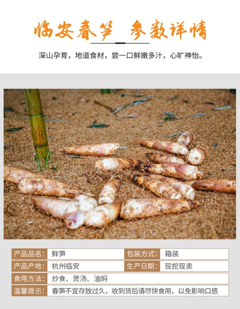 浙江临安春笋天目山雷笋鲜嫩竹笋新鲜现挖切根3斤/起