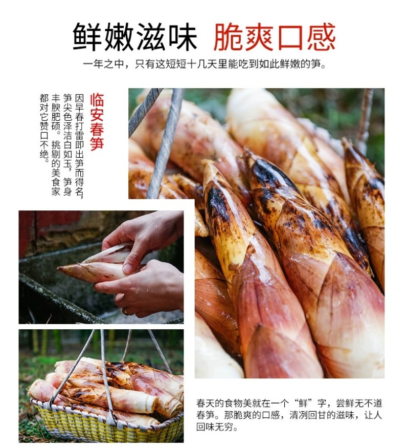 浙江临安春笋天目山雷笋鲜嫩竹笋新鲜现挖切根3斤/起