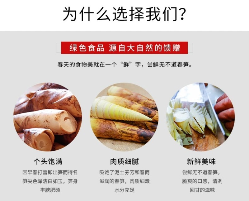 浙江临安春笋天目山雷笋鲜嫩竹笋新鲜现挖切根3斤/起