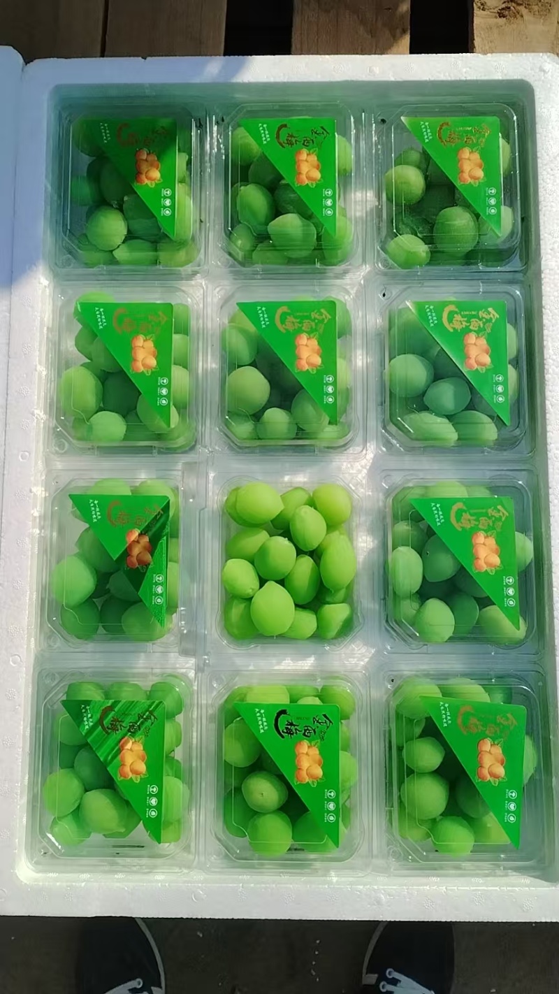 金西梅大量供应规格齐全保质保量支持一件代发欢迎电话洽谈