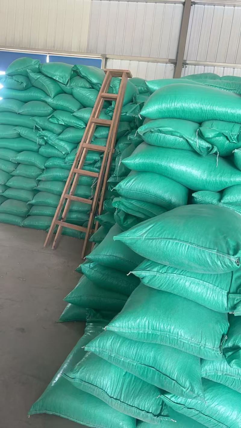 黄豆精品黄豆，量大从优，诚信经营，支持视频看货代发全国