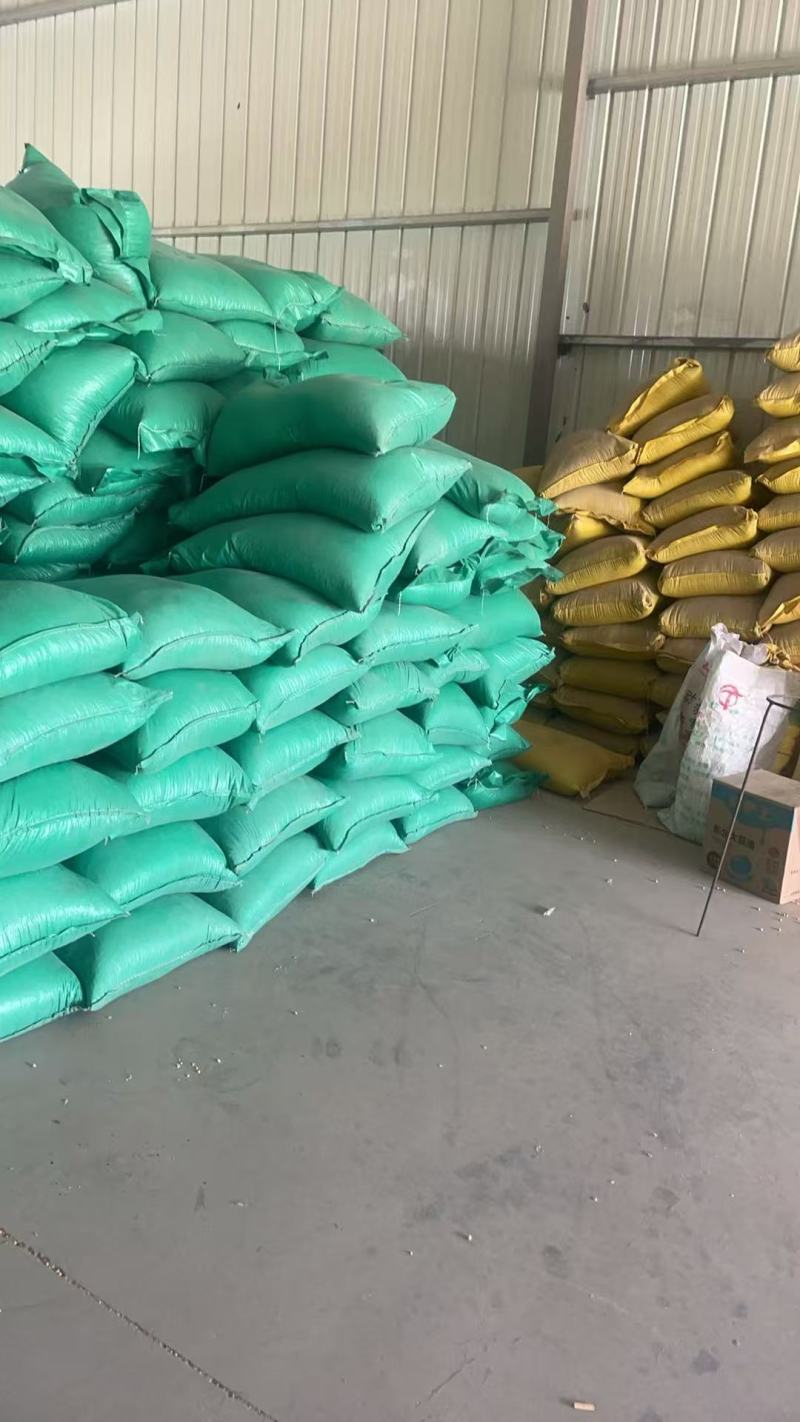 黄豆精品黄豆，量大从优，诚信经营，支持视频看货代发全国