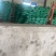 黄豆精品黄豆，量大从优，诚信经营，支持视频看货代发全国
