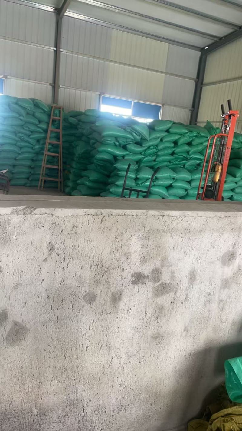 黄豆精品黄豆，量大从优，诚信经营，支持视频看货代发全国