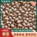 黄豆精品黄豆，量大从优，诚信经营，支持视频看货代发全国