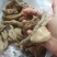 野生天麻产地直销量大质优保质保量欢迎各大老板采购