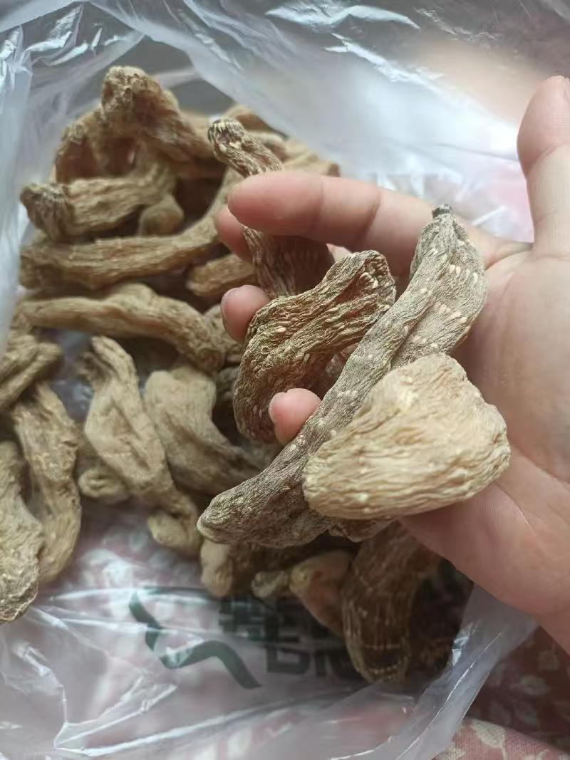 野生天麻产地直销量大质优保质保量欢迎各大老板采购