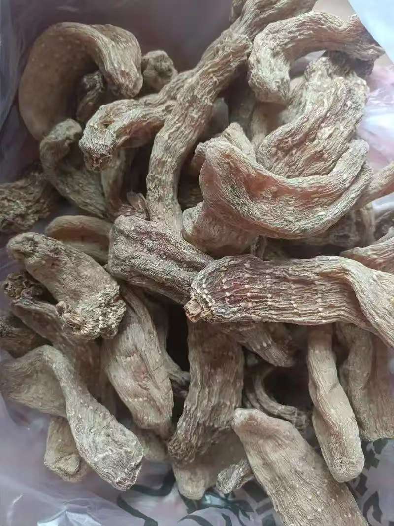 野生天麻产地直销量大质优保质保量欢迎各大老板采购