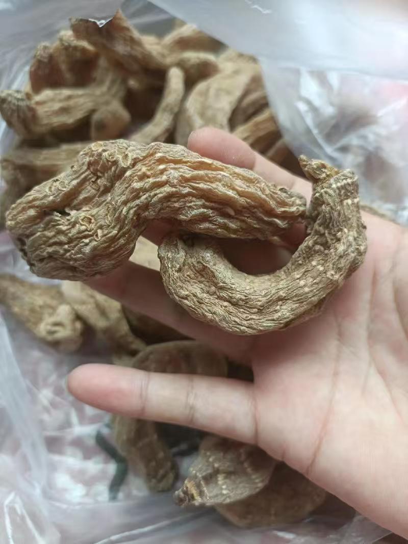 野生天麻产地直销量大质优保质保量欢迎各大老板采购
