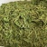 石阡苔茶产地直销量大质优价格优惠欢迎各大老板采购咨询