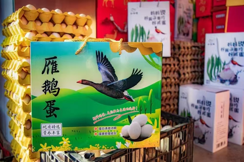 大雁蛋大雁鹅蛋产地直销量大质优价格优惠一手货源