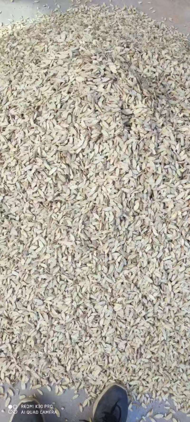 黄芪产地直发规格齐全品质保障量大优惠对接全国