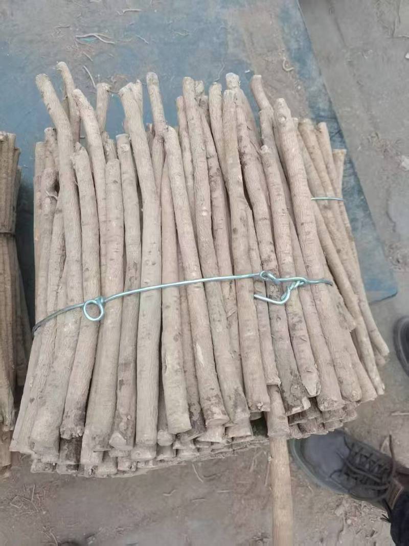 黄芪产地直发规格齐全品质保障量大优惠对接全国
