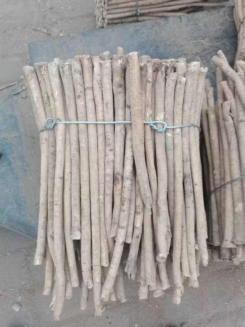 黄芪产地直发规格齐全品质保障量大优惠对接全国