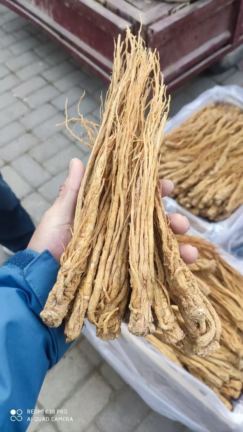 水洗精品当归产地直发规格齐全品质保障视频看货选货