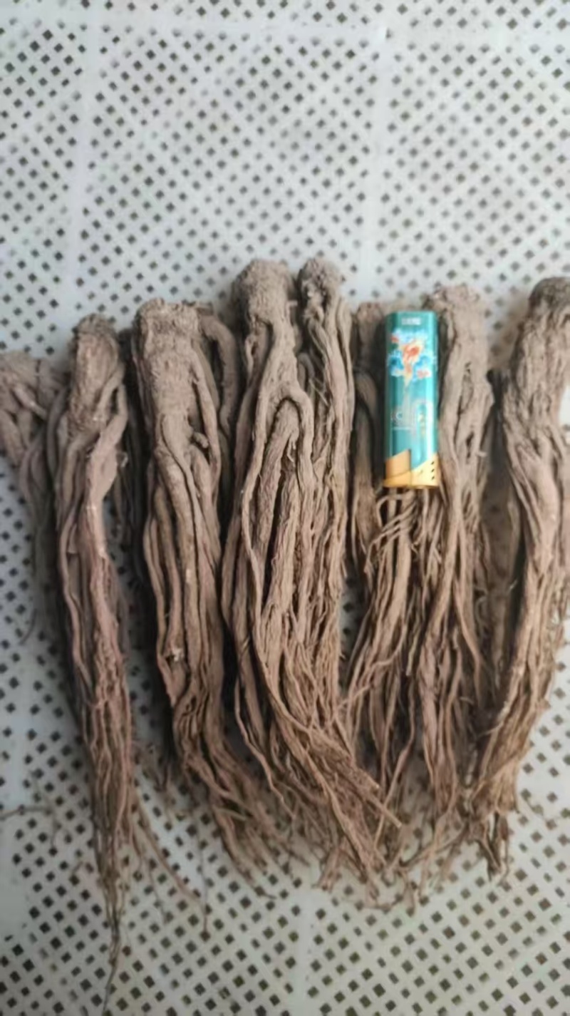 水洗精品当归产地直发规格齐全品质保障视频看货选货