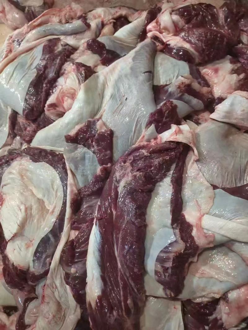 济南商河牛罗肌肉，量大从优厂子直接发货，欢迎老板致