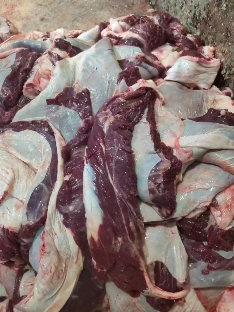 济南商河牛罗肌肉，量大从优厂子直接发货，欢迎老板致