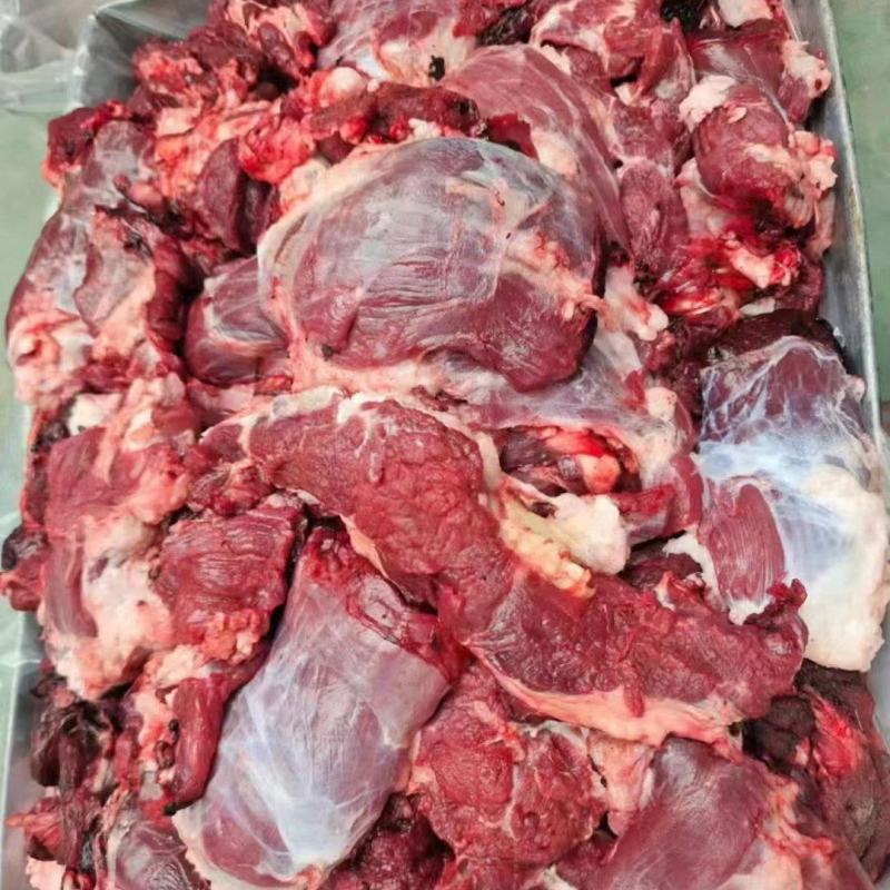 牛碎肉山东济南商河量大从优厂里直接发货欢迎各位采
