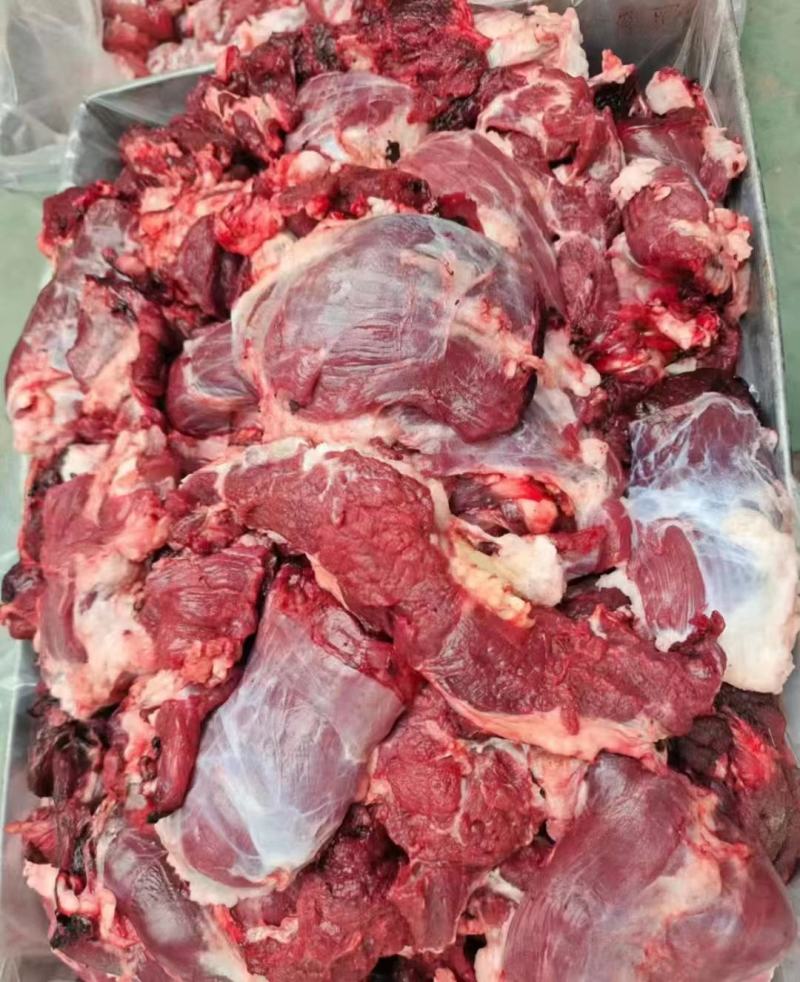 牛碎肉山东济南商河量大从优厂里直接发货欢迎各位采