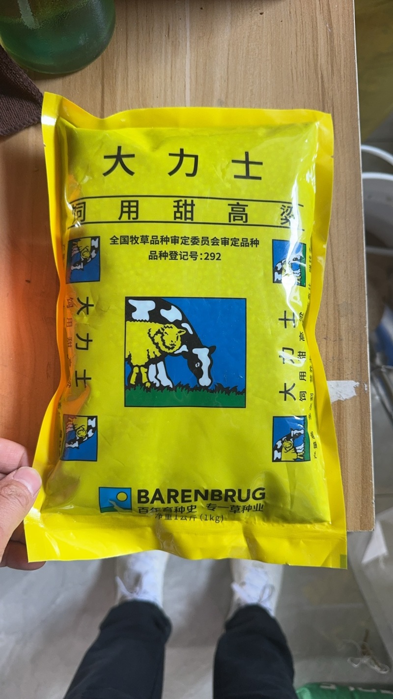 百绿授权大力士甜高粱种子牧草种子大田种植高产南方北方