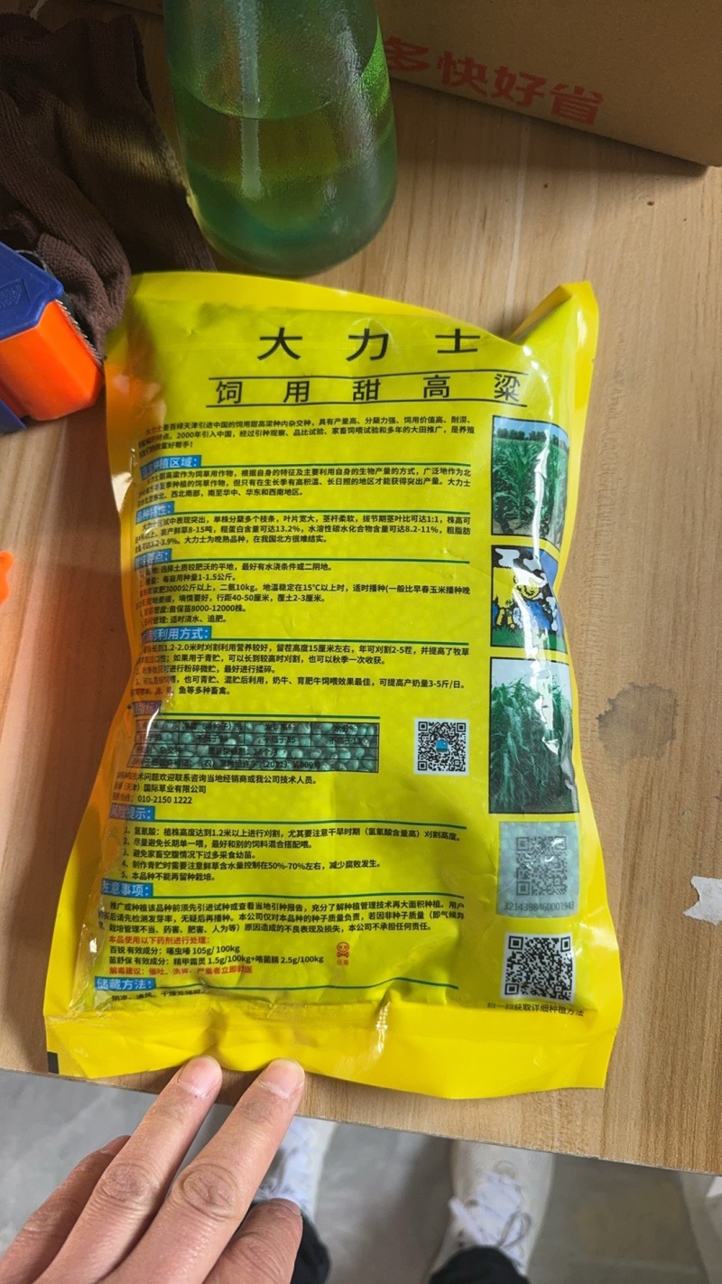 百绿授权大力士甜高粱种子牧草种子大田种植高产南方北方