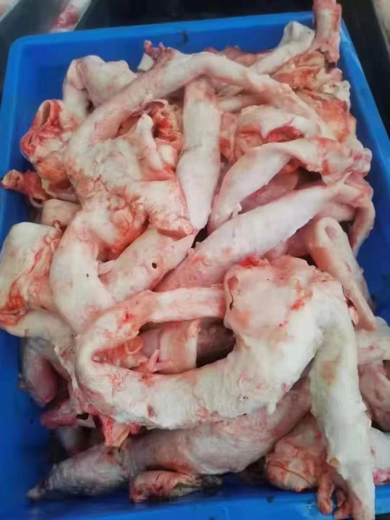 牛心管,山东济南商河量大从优自家生产欢迎致电合作
