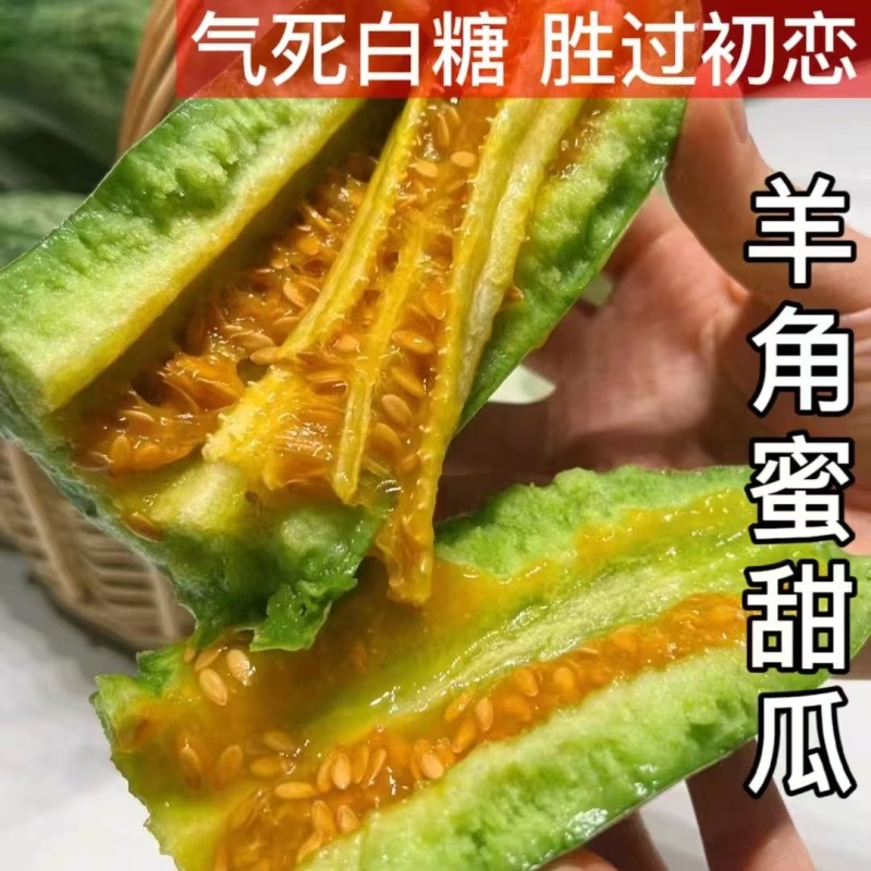【实力代收】河南博洋6羊角蜜大量上市市场团购电商